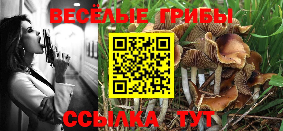 Псилоцибиновые грибы мицелий  купить закладку  Уссурийск  Вход с VPN 